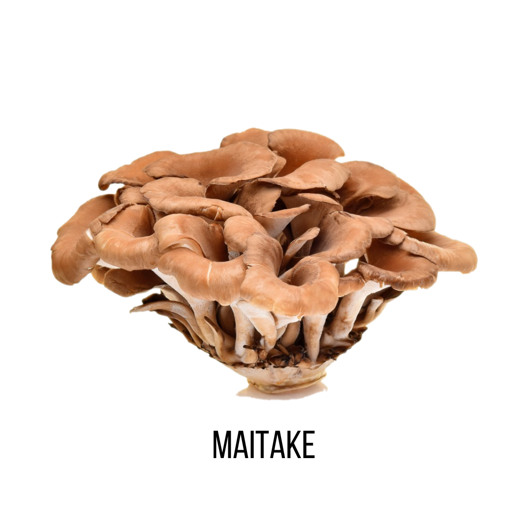 CBD Infusions Mushroom Capsules Maitake Image