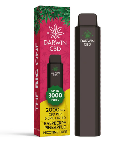 Darwin CBD Raspberry Pineapple  2000mg Disposable Vape