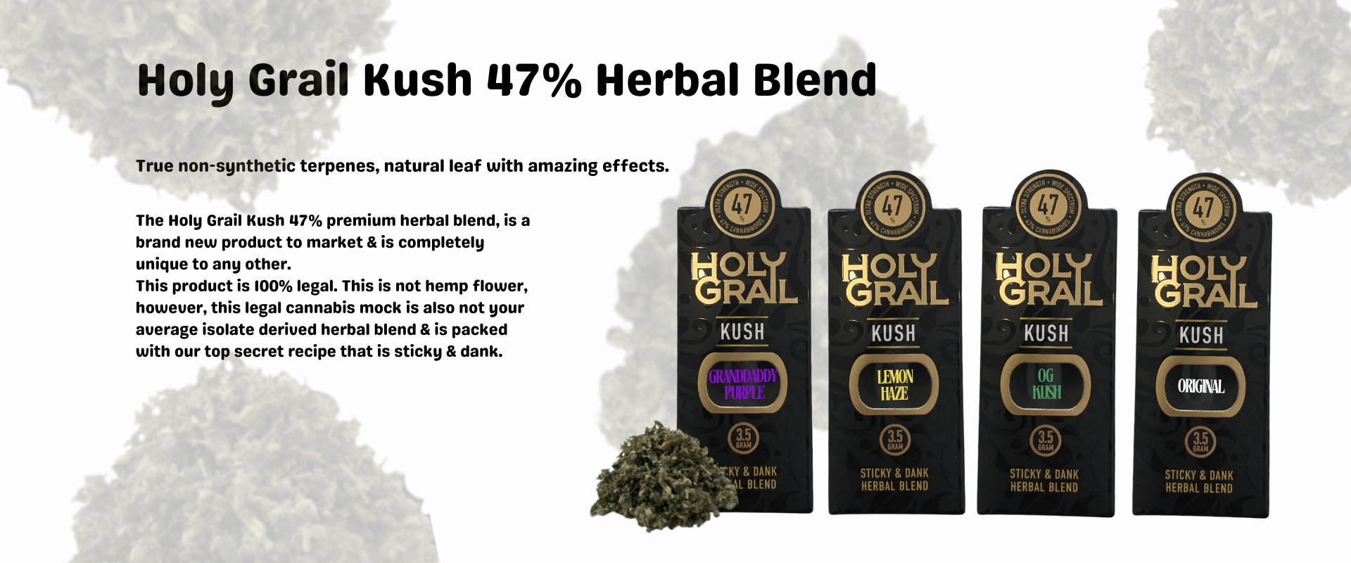 Holy Grail Banner- Web Size